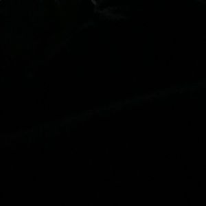 Meet your Posher, Savy